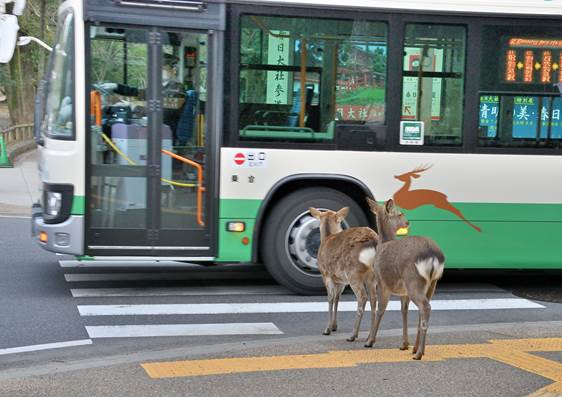 【本物引上品】奈良交通 鹿 東松ケ丘 バス停標識 奈良交通バス停標板ミニコースター | づっとなら公式オンライン