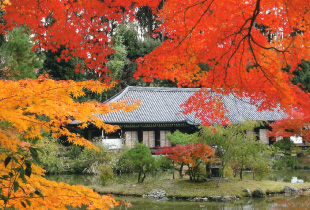 G．岩船寺・浄瑠璃寺