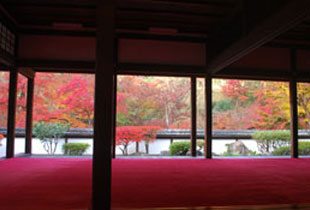 G．岩船寺・浄瑠璃寺