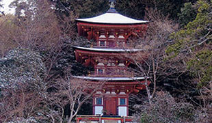 L．冬の大日如来坐像めぐり～浄瑠璃寺・円成寺～