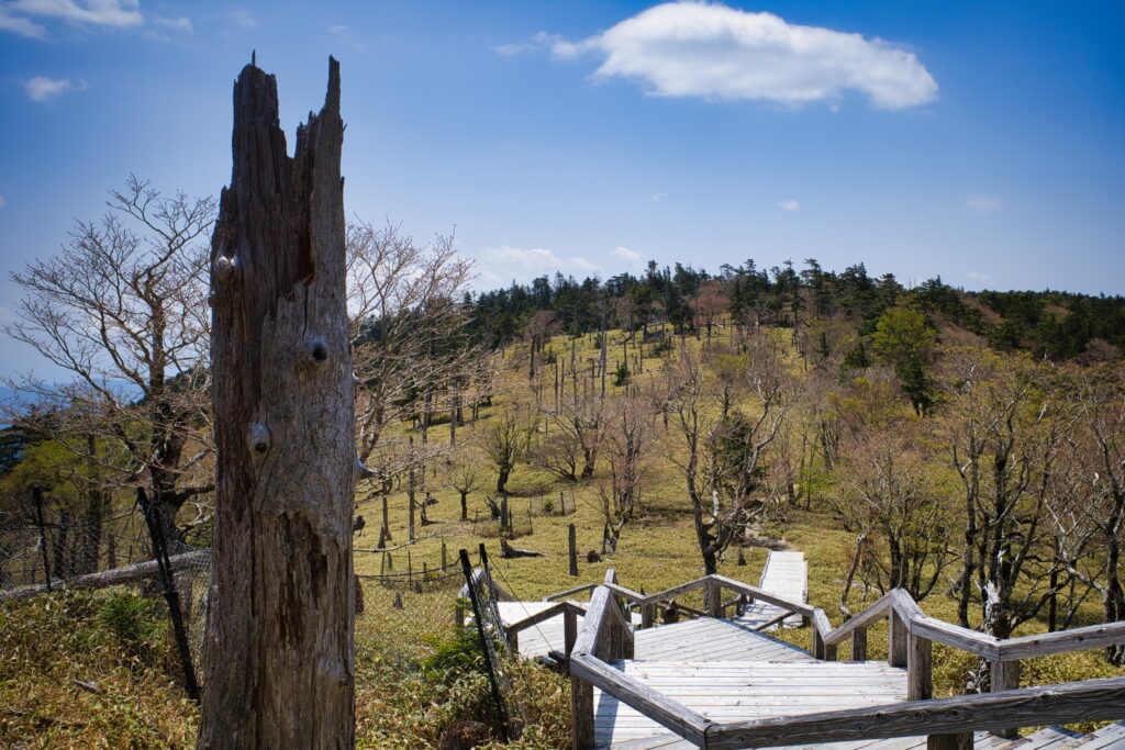 大台ヶ原・和佐又山 | 奈良交通公式ホームページ