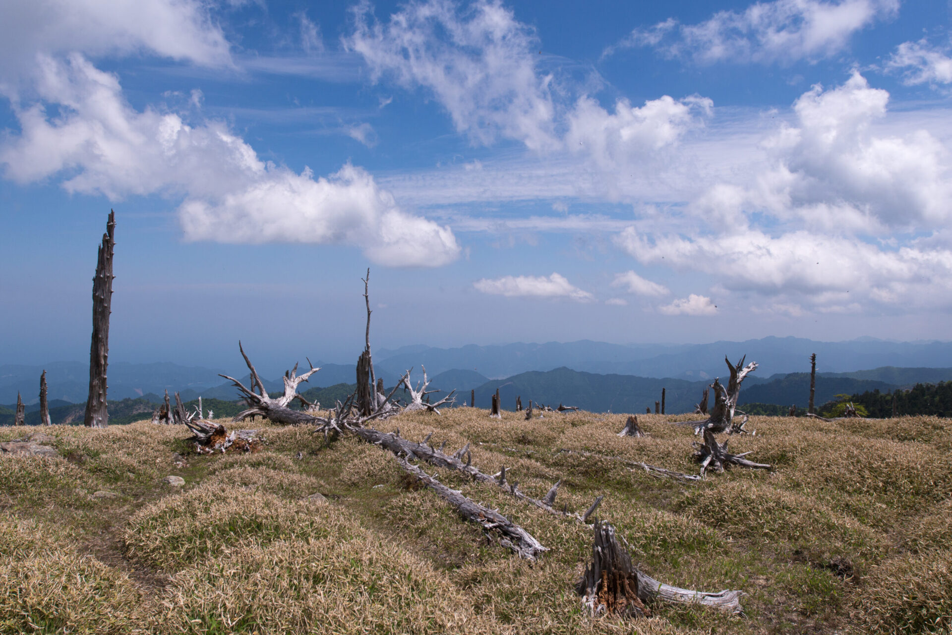大台ヶ原・和佐又山 | 奈良交通公式ホームページ