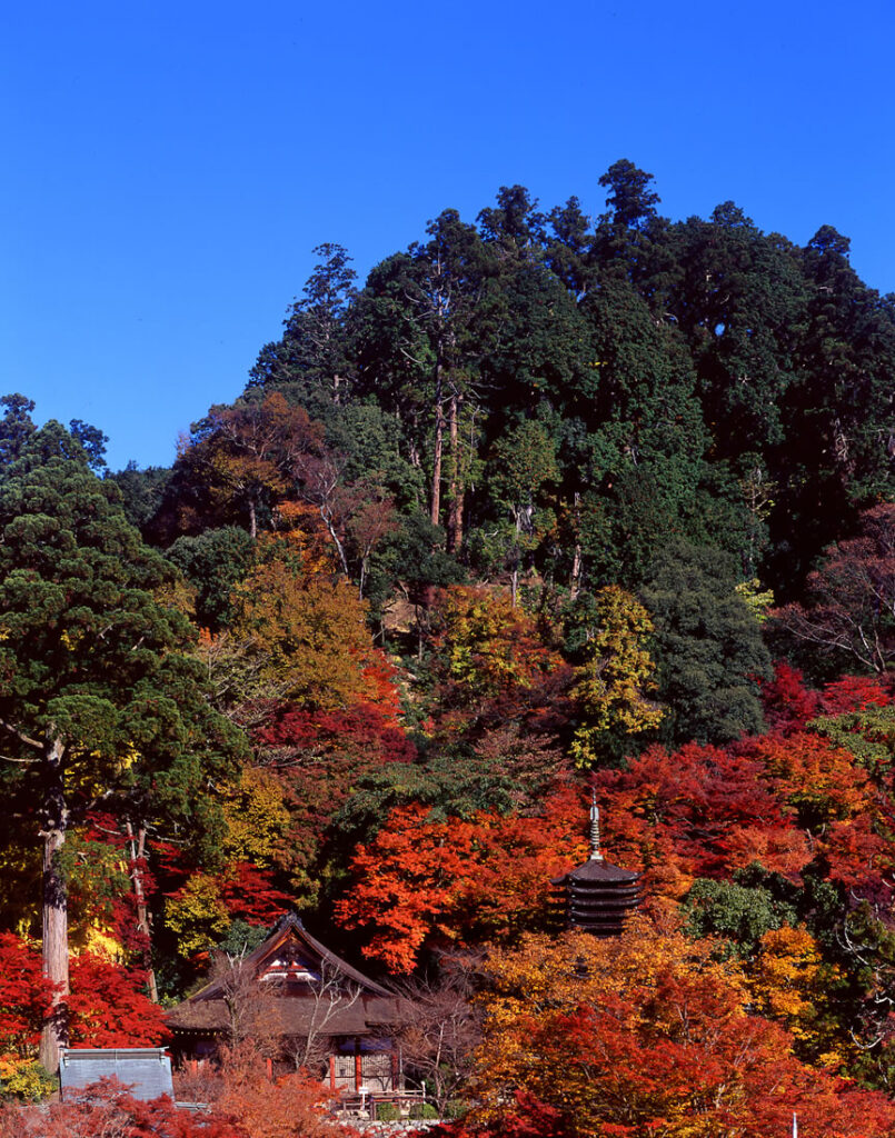 談山神社の紅葉