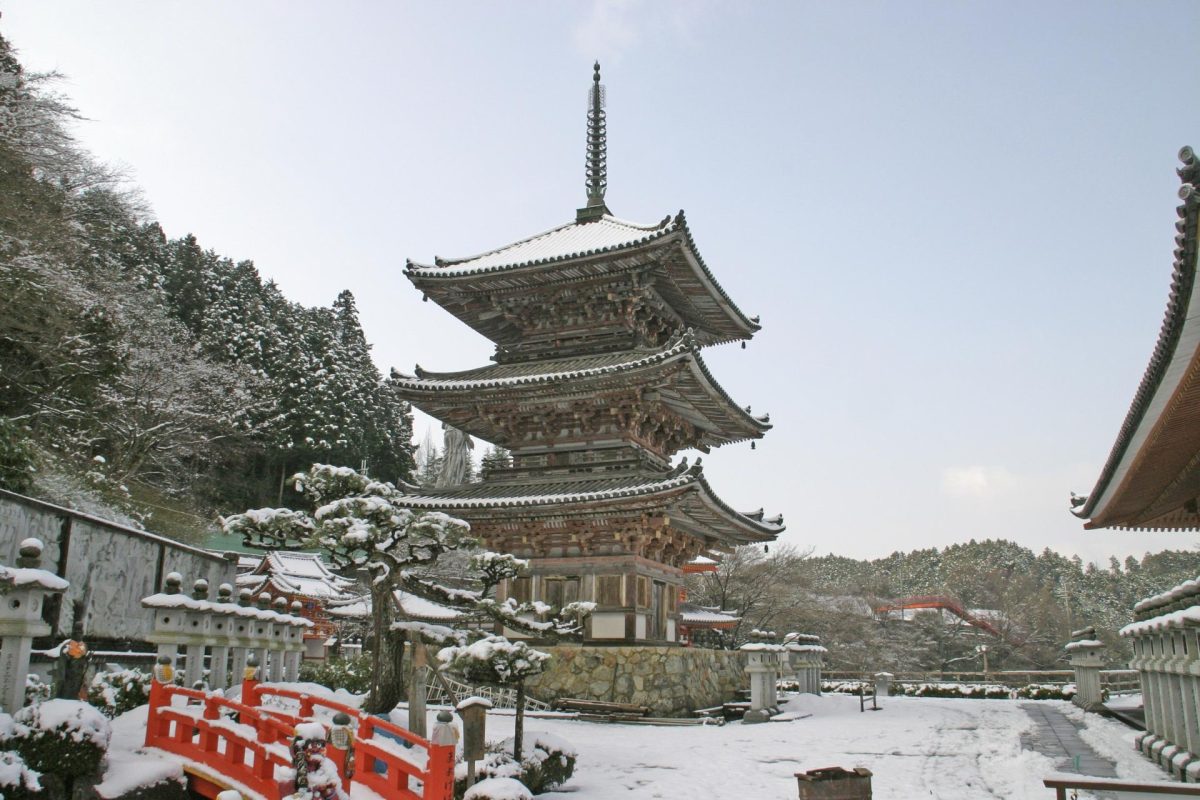 壷阪寺≪初詣≫ ページ サムネイル画像