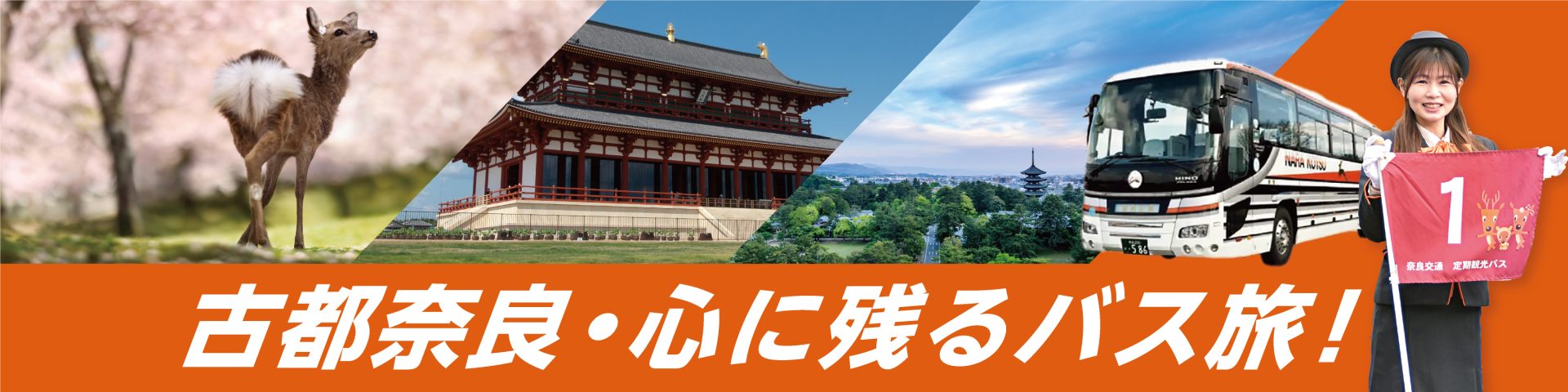 定期観光バスメインビジュアル画像