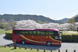 ビューティフルツアー