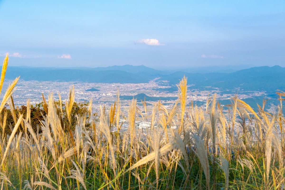 葛城山（秋） ページ サムネイル画像