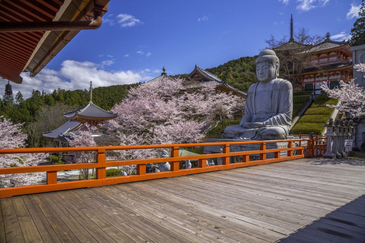 壷阪寺 ページ サムネイル画像