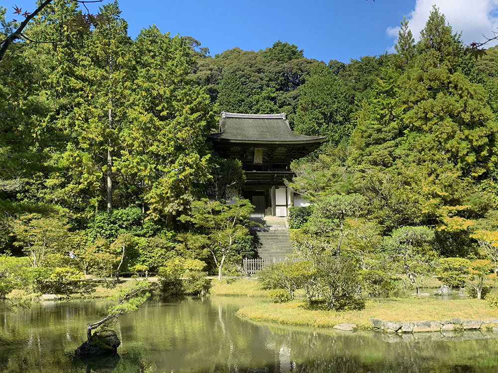 柳生（春） ページ サムネイル画像