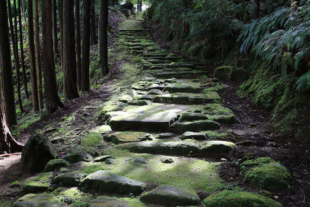 奈交バスハイク＜熊野古道伊勢路＞ サムネイル画像
