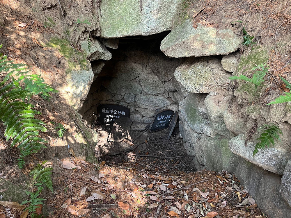 奈良まほろばソムリエ・雑賀耕三郎先生と行く古墳石室に入る旅 サムネイル画像