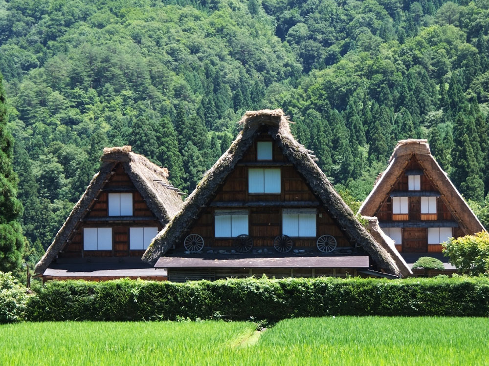 大阪発 （住道・新石切） サムネイル画像